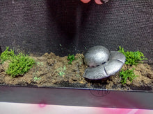 Load image into Gallery viewer, Take Me To Your Leader Shadowbox