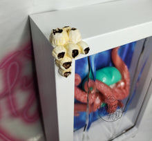 Load image into Gallery viewer, Oceania Shadowbox
